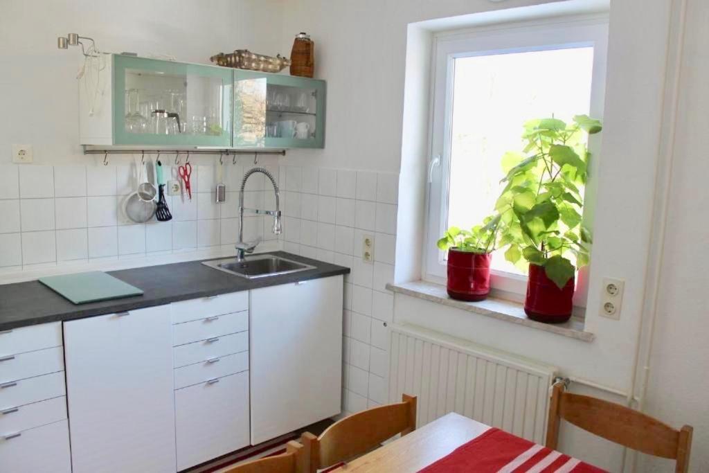 Zollhaus 26 Apartment โฮเฮอไกส์ ภายนอก รูปภาพ